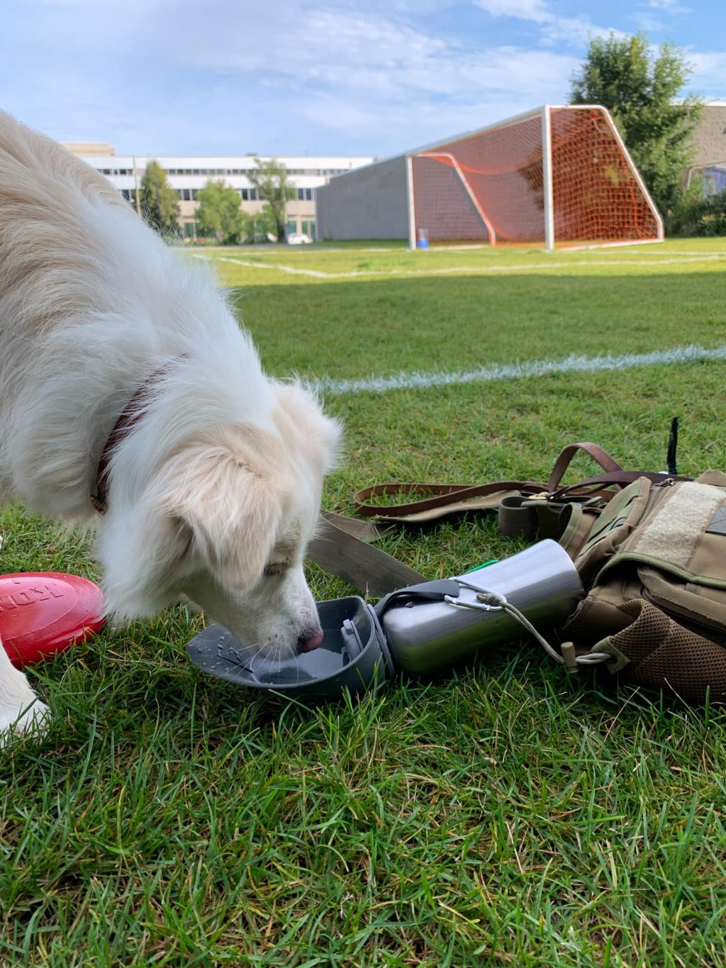Portable Dog Hydration Buddy