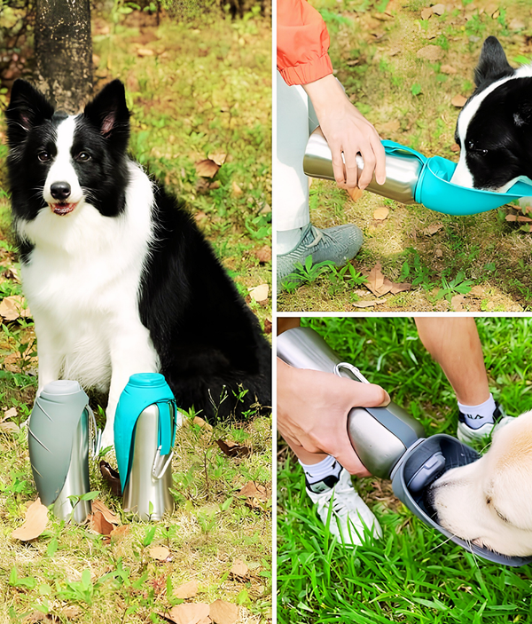 KABBLY ™ Portable Dog Hydration Buddy